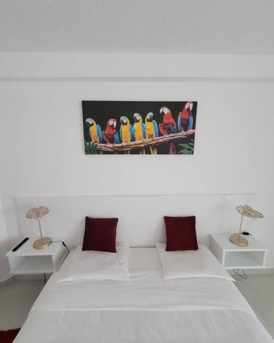 Hello Guyane, Suite Collection  Cayenne Extérieur photo